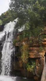 水果时尚风格